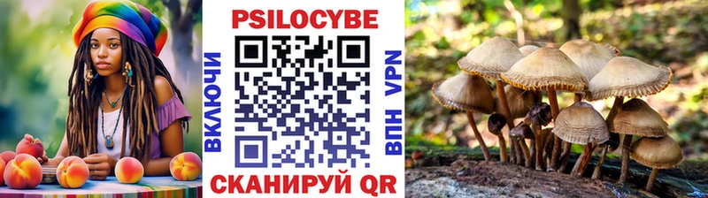Галлюциногенные грибы Magic Shrooms Алдан